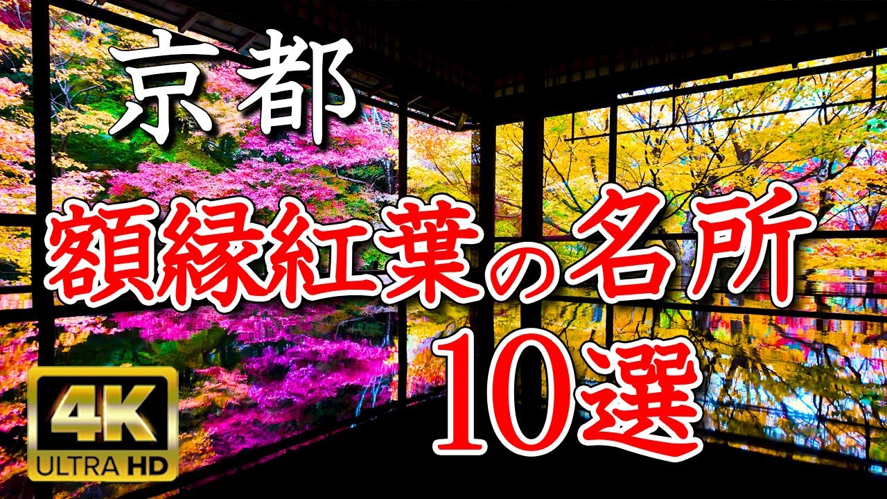 【4K 京都紅葉】窓枠額縁紅葉10選 🍁 瑠璃光院・祐斎亭・圓光寺他静寂に映る秋の京都 / Kyoto Autumn through Windows & Framed Gardens