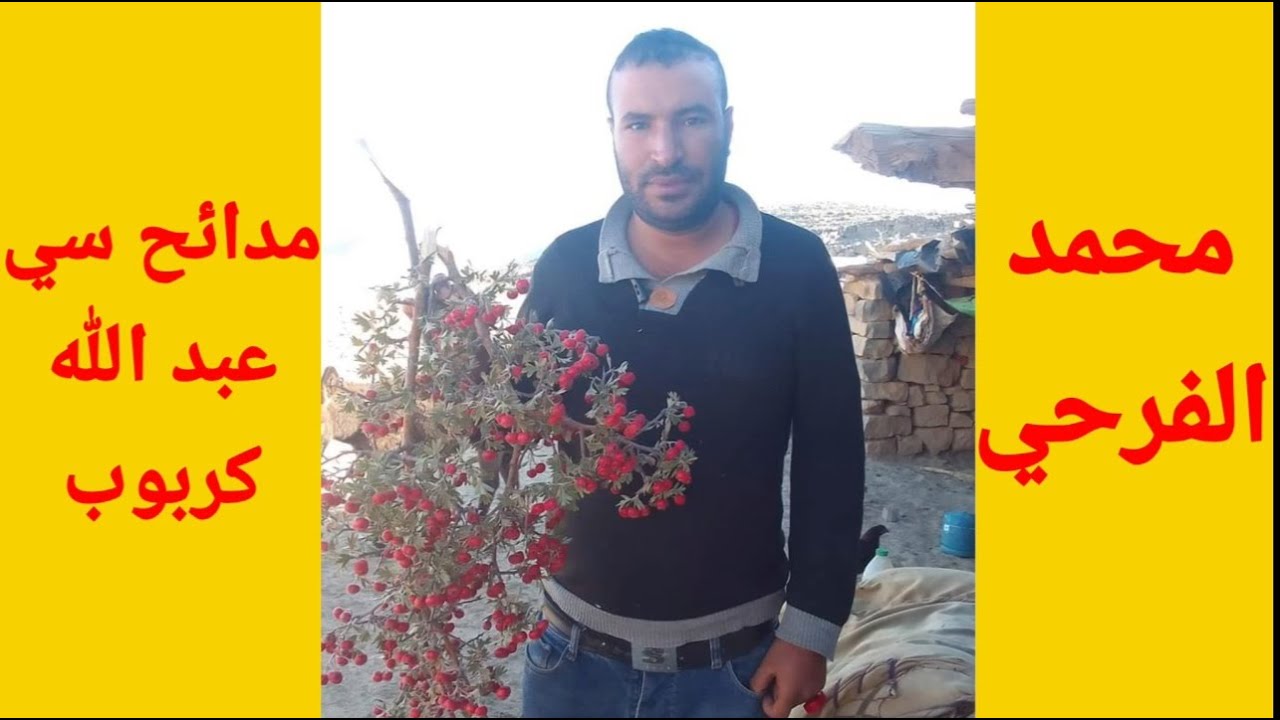 @محمد الفرحي : 