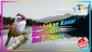 MASTERAN Tembakan Kasar Kombinasi Roll Panjang