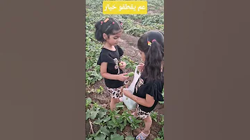 التوأم عم يقطفو الخيار لايك 
