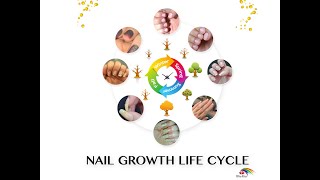 [Week 2 Ep. 4 Bliss Kiss 30 Day Challenge] Grow Longer Nails By Understanding the Nail Life Cycle