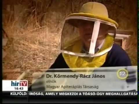 Apiterápiás technika visszér ellen Apiterápia. Gyógyítás méhészeti termékekkel