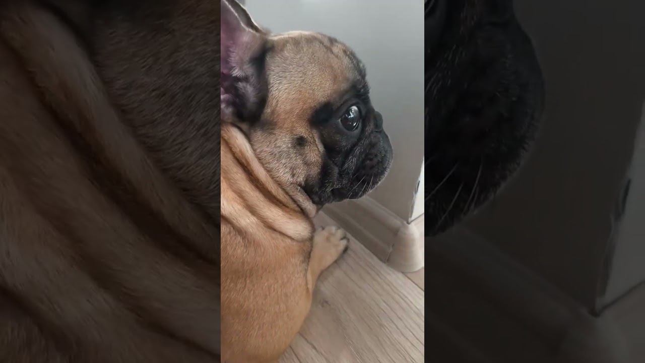 Застукал на месте преступления 