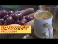 EP 3 How is coffee Grown and Processed |Coffee from farm to Processing Unit | Coorg, Karnataka,