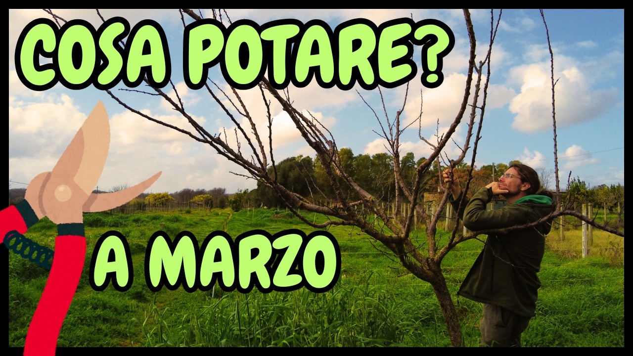 Cosa POTARE a MARZO? Ecco la LISTA delle potature che puoi fare nel tuo ORTO e in GIARDINO!