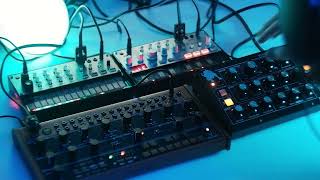 Analog Melodic Techno -  Moog Minitaur / Behringer Crave / Volca Bass / Volca Keys