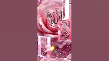 سورة يس #قران #القران #قران_كريم #القران_الكريم #viralvideos #اكسبلور #algerie