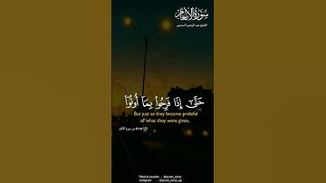قرأن كريم راحة نفسية || حالات واتساب دينية || أفضل التلاوات لأفضل القراء || القارئ الشيخ صوت جميل