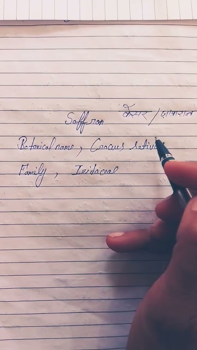 saffron-ka-botanical-name-and-family-youtube
