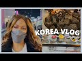 Visiting A Cafe With A Fireplace || Korea VLOG