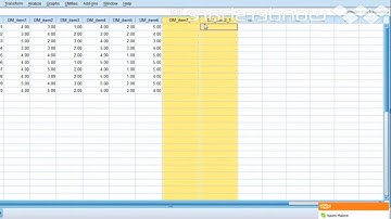 10 How to Clean SPSS Data