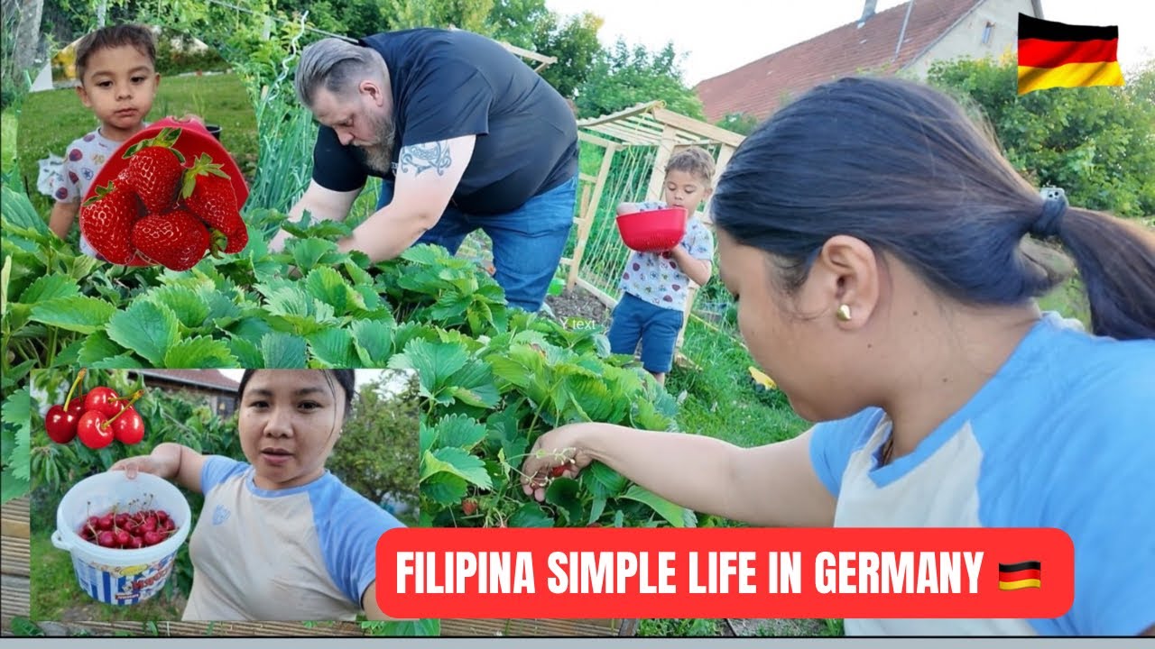 Cherry and Strawberry Harvest + Homemade Marmalade ! FILIPINA SIMPLE LIFE IN GERMANY.