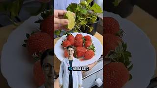 Estás mezclando mal las fresas y te afecta