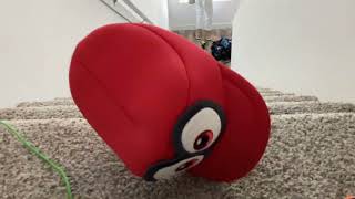 Cappy Falls Down Stairs