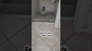 There's always shenanigans taking place on these steps 😂