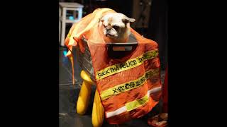 警察做事CopTale432Hz