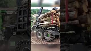Logging ❗❗❗❗
