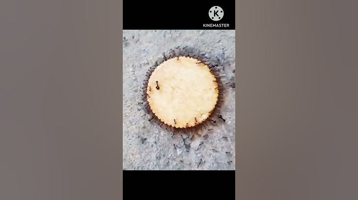 Papa ne kyu डाँटा 🫢😂 #shorts #shortfeed #funny