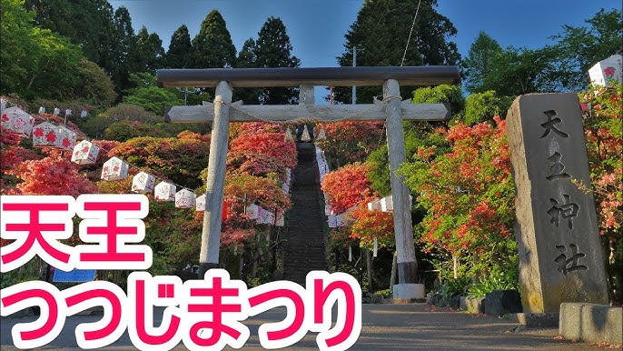 大鰐町 茶臼山公園 つつじまつり 百花繚乱と絶景 つつじ Youtube