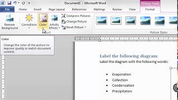 MS Word - Greyscale