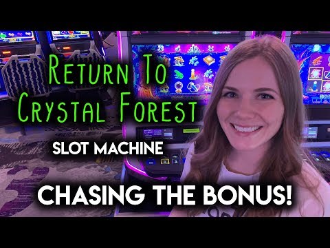 Return to Crystal Forest Slot Machine! Chasing that BONUS!