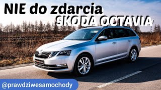 Testujemy Skoda Octavia 18 Tsi  Nie Do Zdarciaprawdziwesamochody
