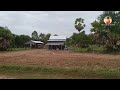 Rural life,Cambodia|Rural life in Cambodia -Part 4