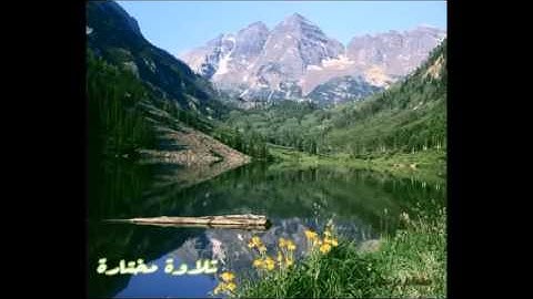 تلاوة مختارة ( من سورة القصص )