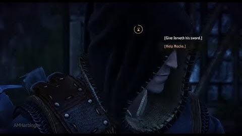 Help Iorveth or Roche All Outcomes - The Witcher 2