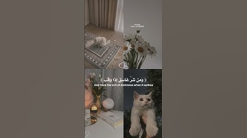 سورة الفلق {قل أعوذ برب الفلق} القارئ سعد الغامدي 🤍🌿 #قرآن