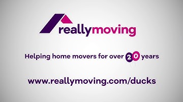 REALLYMOVING - Get your ducks in a row TV AD