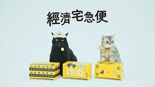 黑貓宅急便【萌貓修業篇】【大兼製作】