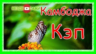 Камбоджа. Путешествие в Кеп и Кампот. Редкие бабочки. Перец Кампота. Ангауль бич. Камбоджа. Путешествие в Кеп и Кампот. Редкие бабочки. Перец Кампота. Ангауль бич.