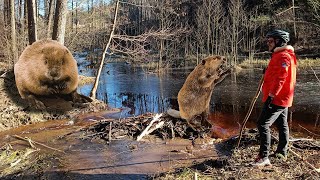 Bober dviračių žygis