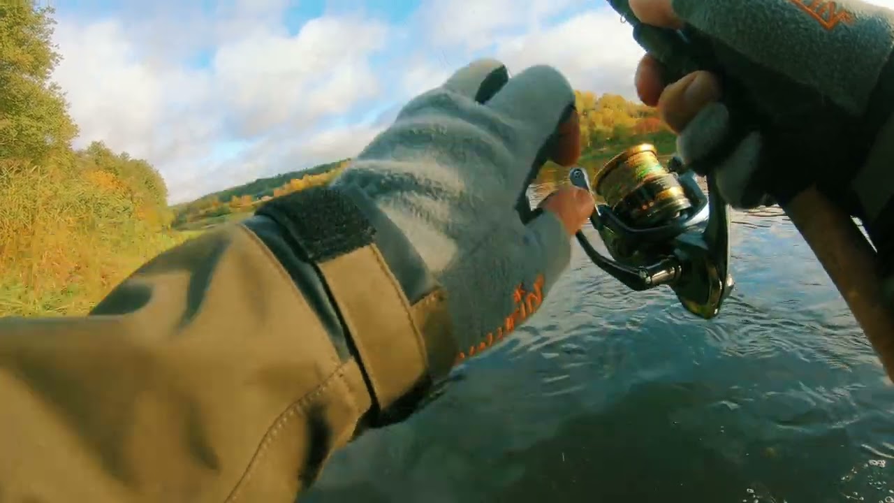 Lašiša Neris 2022. Energinga patelė. Salmon