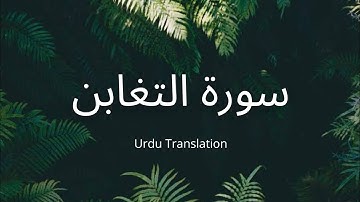 Surah At-Taghabun | سورۃ التغابن | Ahmed Khedr | Urdu Translation