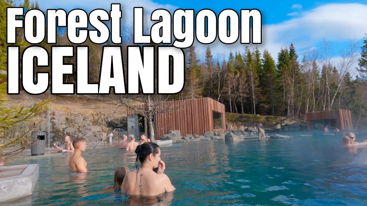 🇮🇸Exploring the Tranquil Beauty of Forest Lagoon in North of Iceland