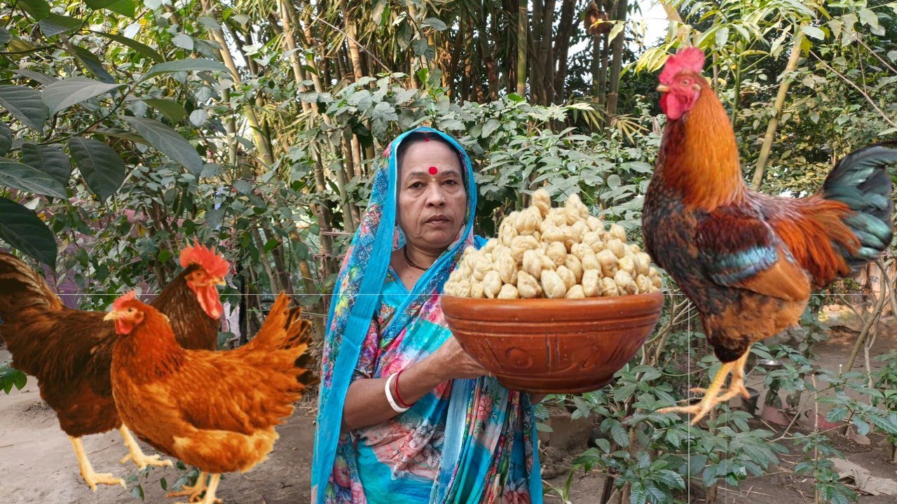 কাবলি ছোলা দিয়ে মুরগির মাংসের দুর্দান্ত রেসিপি । মুরগির মাংস দিয়ে কাবলি ছোলা । বড় ছোলা তরকারি