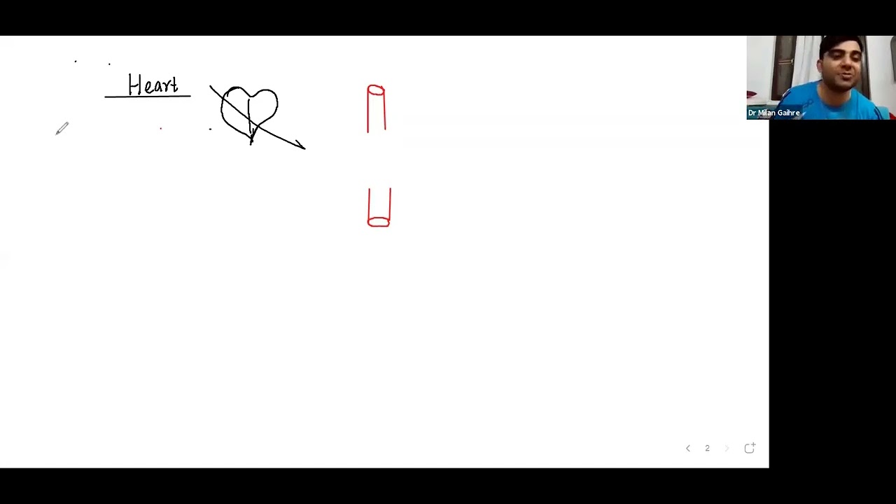 Circulatory System Lec 1 by Milan Ghaire Sir cee lecture YouTube circulatory-system-lec-1-by-milan-ghaire-sir-cee-lecture-youtube