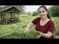 Peaceful Rural Life | Planting Onions, Harvesting Vegetables &amp; Simple Living”#village