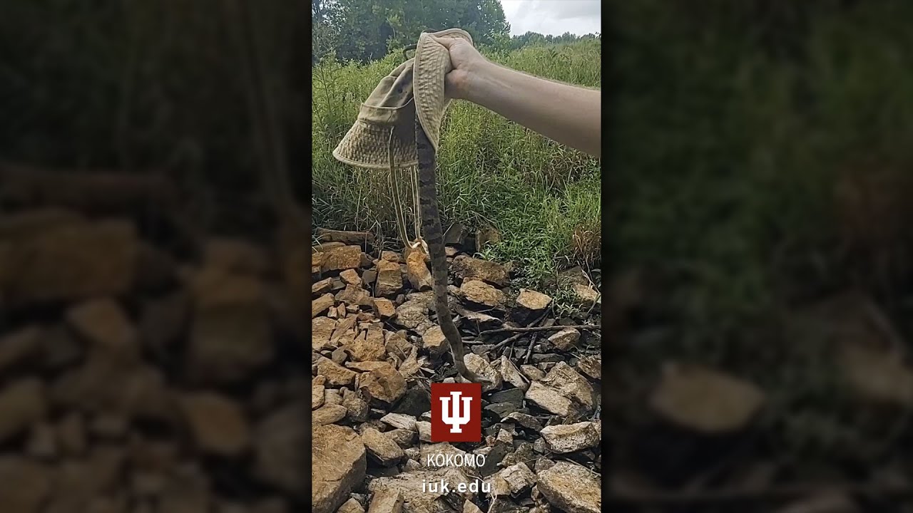 Beauty Close By: Exploring the Muscatatuck National Wildlife Refuge with IU Kokomo!
