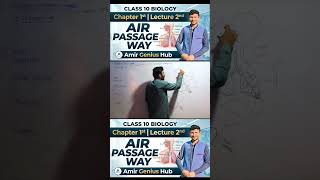 Air passages way #biology #neetaspirents #science #neetcoachings #education #physics