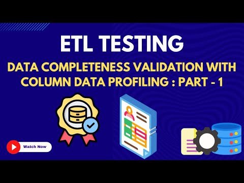13. Data Completeness   Colunm Data Profiling  | ETL Testing