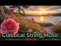 🎵 1 Hour of Chamber Ballads for Deep Sleep & Relaxation 💙 Classical String Music 🎻 #sleepmusic