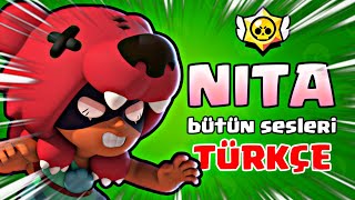 NITA BÜTÜN SESLERİ TÜRKÇE ANLAMI - Brawl Stars