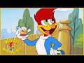 Woody Woodpecker Show | Cyrano De Woody Woodpecker | Full Episode | Cartoons For Children