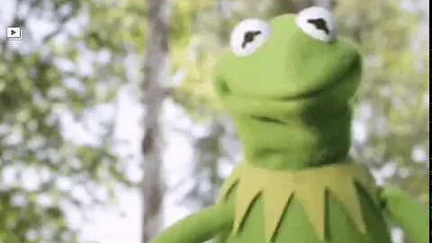 Kermit Dances To "The Summer Song"