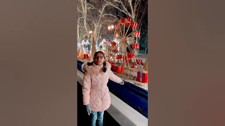 Armenian Christmas market #shorts #yerevan #2023 #happynewyear #travelvlog #armenia #christmasmarket