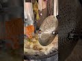 #Manchurianmachine #food #streetfood #foodie #kitchen #cooking #foodlover #recip #manchurianmachine
