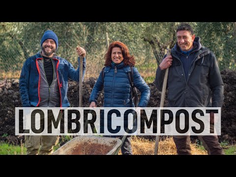 Video: Winter Worm Composting - Suggerimenti per l'allevamento di vermi quando fa freddo